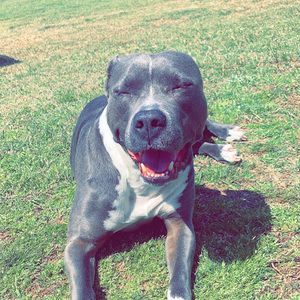 Meet your Posher, Misty